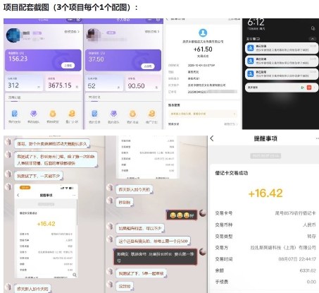当天能收益的3个小项目拆解_包括平台+操作流程 2 当天能收益的3个小项目拆解_包括平台+操作流程