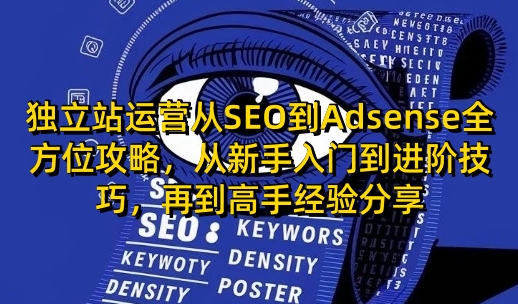独立站运营从SEO到Adsense全方位攻略，从新手入门到进阶技巧，再到高手经验分享网创-网赚-电商-tk-出海-AI-抖音-快手-小红书-视频号-玩法-创业-小程序-公众号-私域-s粉网创智库