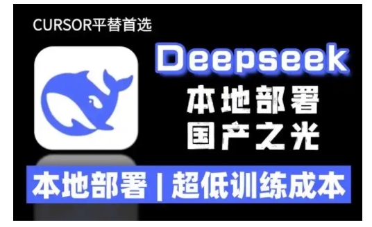 2025年deepseek R1 大型模型当地部署应用(文档 实例教程)本地部署，极低练习成本费网创-网赚-电商-tk-出海-AI-抖音-快手-小红书-视频号-玩法-创业-小程序-公众号-私域-s粉网创智库