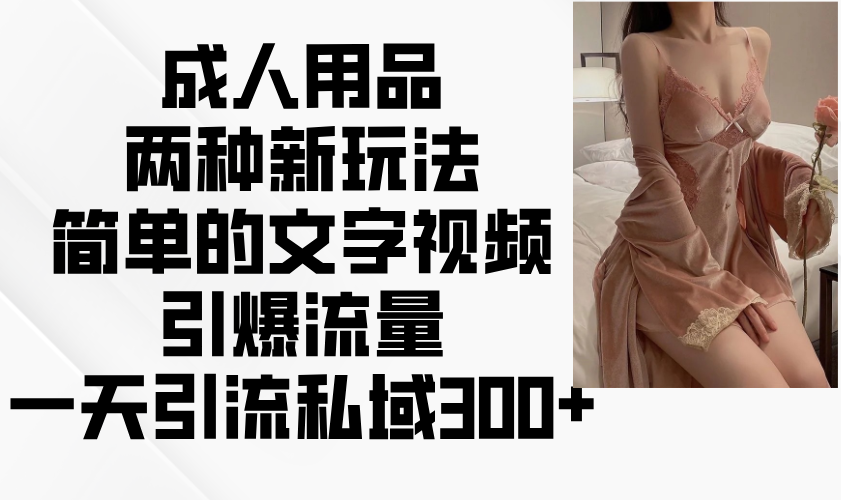 成人用品两种新玩法，简单的文字视频引爆流量，一天引流私域300+ - 网创智库网创-网赚-电商-tk-出海-AI-抖音-快手-小红书-视频号-玩法-创业-小程序-公众号-私域-s粉网创智库