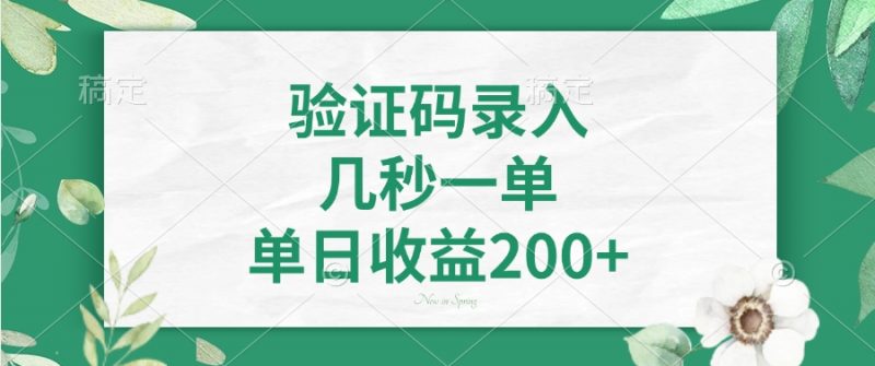 验证码录入，几秒一单，单日收益200+网创-网赚-电商-tk-出海-AI-抖音-快手-小红书-视频号-玩法-创业-小程序-公众号-私域-s粉网创智库