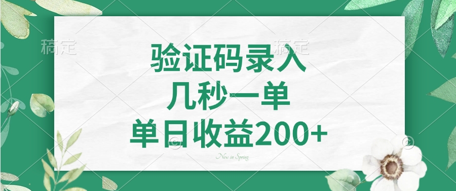 验证码录入，几秒一单，单日收益200+ - 网创智库网创-网赚-电商-tk-出海-AI-抖音-快手-小红书-视频号-玩法-创业-小程序-公众号-私域-s粉网创智库