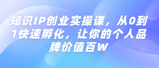 知识IP创业实操课，从0到1快速孵化，让你的个人品牌价值百W网创-网赚-电商-tk-出海-AI-抖音-快手-小红书-视频号-玩法-创业-小程序-公众号-私域-s粉网创智库