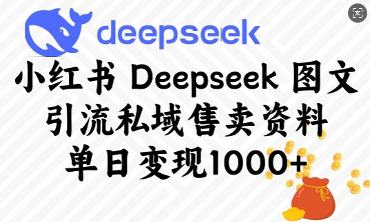 小红书Deepseek图文引流私域售卖资料，单日变现多张网创-网赚-电商-tk-出海-AI-抖音-快手-小红书-视频号-玩法-创业-小程序-公众号-私域-s粉网创智库