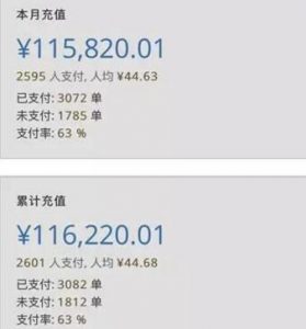 一年赚百万的生态付费小说行情 1 image 20250208135555 197149