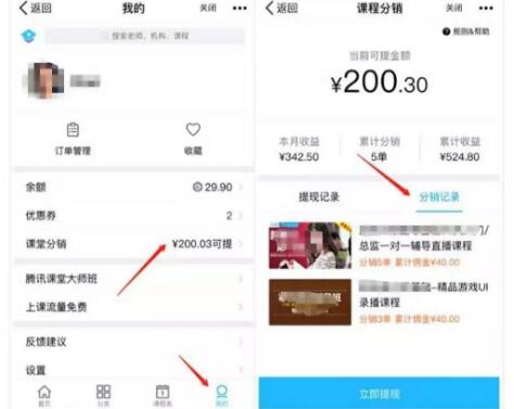 不起眼的课程分销暴利项目轻松月入过万 8 image 20250208140303 615483
