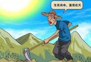 一个人操作竹子酒月赚10W+,不赚钱就是你懒! 3 image 20250226010339 010525