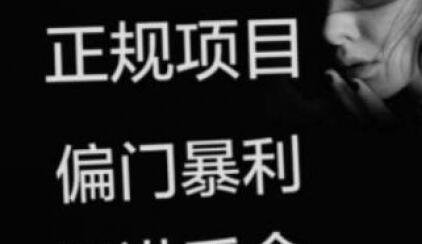 现在偏门的行业有哪些，不起眼很赚钱的小项目网创-网赚-电商-tk-出海-AI-抖音-快手-小红书-视频号-玩法-创业-小程序-公众号-私域-s粉网创智库