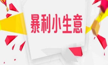 13个不起眼的小项目，却是月入过万的暴利生意网创-网赚-电商-tk-出海-AI-抖音-快手-小红书-视频号-玩法-创业-小程序-公众号-私域-s粉网创智库