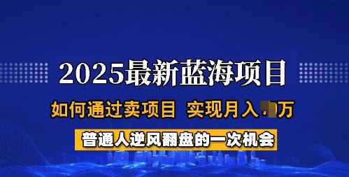 2025蓝海项目,普通人如何通过卖项目,实现月入过W,全过程【揭秘】网创-网赚-电商-tk-出海-AI-抖音-快手-小红书-视频号-玩法-创业-小程序-公众号-私域-s粉网创智库