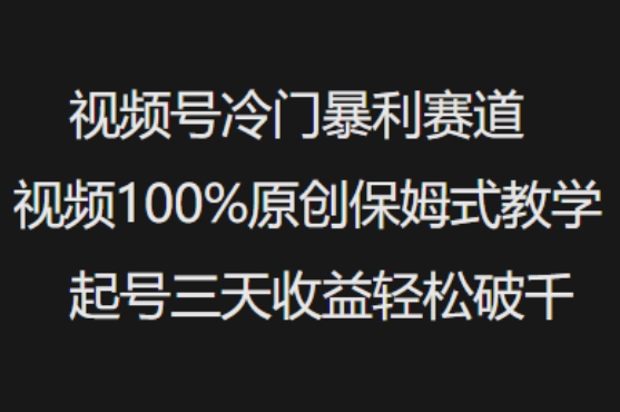 视频号冷门暴利赛道视频100%原创保姆式教学起号三天收益轻松破千网创-网赚-电商-tk-出海-AI-抖音-快手-小红书-视频号-玩法-创业-小程序-公众号-私域-s粉网创智库