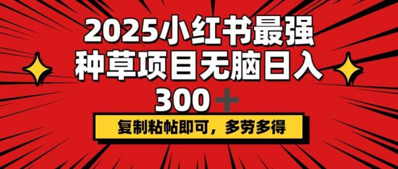 2025小红书最强种草项目，无脑日入300+，复制粘帖即可，多劳多得网创-网赚-电商-tk-出海-AI-抖音-快手-小红书-视频号-玩法-创业-小程序-公众号-私域-s粉网创智库
