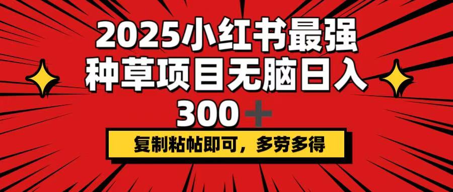 2025小红书最强种草项目，无脑日入300+，复制粘帖即可，多劳多得 - 网创智库网创-网赚-电商-tk-出海-AI-抖音-快手-小红书-视频号-玩法-创业-小程序-公众号-私域-s粉网创智库