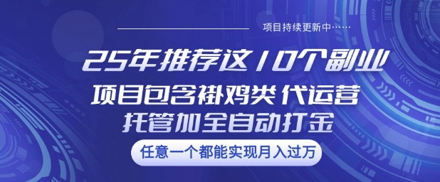 25年推荐这10个副业项目包含褂鸡类、代运营托管类、全自动打金类【揭秘】网创-网赚-电商-tk-出海-AI-抖音-快手-小红书-视频号-玩法-创业-小程序-公众号-私域-s粉网创智库
