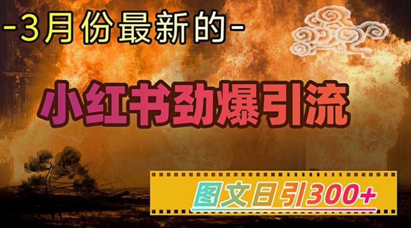 小红书超劲爆引流手段，图文日引300+轻松变现1W网创-网赚-电商-tk-出海-AI-抖音-快手-小红书-视频号-玩法-创业-小程序-公众号-私域-s粉网创智库