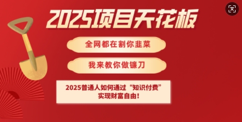 2025项目天花板普通人如何通过知识付费，实现财F自由【揭秘】网创-网赚-电商-tk-出海-AI-抖音-快手-小红书-视频号-玩法-创业-小程序-公众号-私域-s粉网创智库