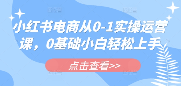 小红书电商从0-1实操运营课，0基础小白轻松上手网创-网赚-电商-tk-出海-AI-抖音-快手-小红书-视频号-玩法-创业-小程序-公众号-私域-s粉网创智库