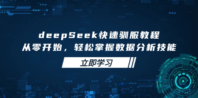 deepSeek快速驯服教程，从零开始，轻松掌握数据分析技能网创-网赚-电商-tk-出海-AI-抖音-快手-小红书-视频号-玩法-创业-小程序-公众号-私域-s粉网创智库