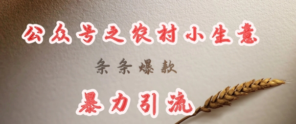 deepseek写农村小项目，条条爆款，暴力引流网创-网赚-电商-tk-出海-AI-抖音-快手-小红书-视频号-玩法-创业-小程序-公众号-私域-s粉网创智库