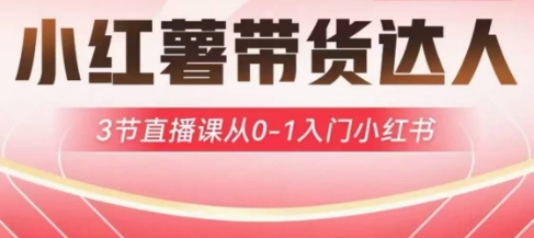 小红薯达人带货启航计划，3节直播课从0-1入门小红书网创-网赚-电商-tk-出海-AI-抖音-快手-小红书-视频号-玩法-创业-小程序-公众号-私域-s粉网创智库