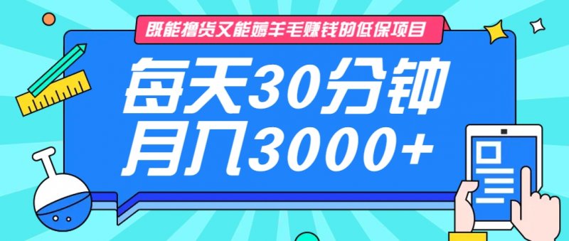 既能撸货又能赚钱的长期低保项目，每天30分钟，多号百分百稳定月入3000+！网创-网赚-电商-tk-出海-AI-抖音-快手-小红书-视频号-玩法-创业-小程序-公众号-私域-s粉网创智库