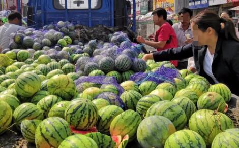 夏天一个人单干的小生意,卖西瓜看着不起眼但很赚钱 1 image 20250302174748 473577