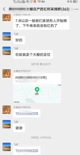 农村种植业什么项目好(大棚种植西红柿年赚50多万) 4 image 20250302175200 990907
