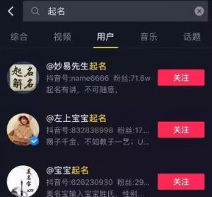 宝宝起名暴利项目,日收入2000玩法 2 image 20250302182809 918745