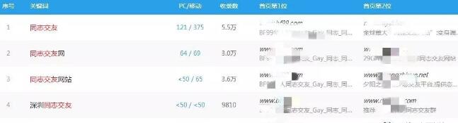 捞偏门-揭秘同志交友暴利项目的盈利模式 6 image 20250302201911 598538