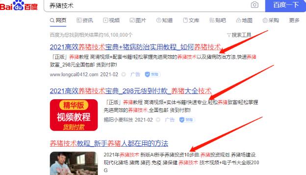卖养猪技术长期可操作的蓝海暴利项目 1 image 20250305181222 518489