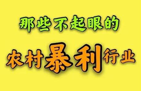 农村适合普通人的暴利行业（几种利润非常高的小项目）网创-网赚-电商-tk-出海-AI-抖音-快手-小红书-视频号-玩法-创业-小程序-公众号-私域-s粉网创智库