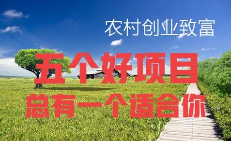 农村赚钱好项目有哪些（五个农村致富好项目） - 网创智库网创-网赚-电商-tk-出海-AI-抖音-快手-小红书-视频号-玩法-创业-小程序-公众号-私域-s粉网创智库