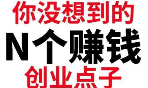 农村做点什么生意好，几个比较偏门的小项目 - 网创智库网创-网赚-电商-tk-出海-AI-抖音-快手-小红书-视频号-玩法-创业-小程序-公众号-私域-s粉网创智库