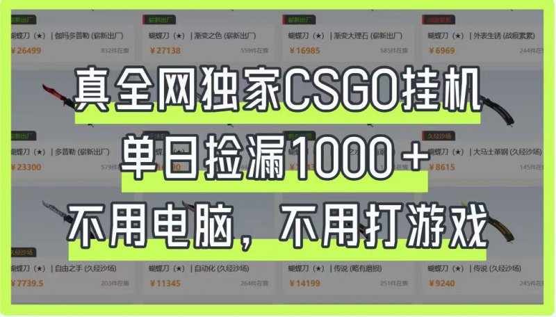 真全网独家CSGO挂机，单日捡漏1000+，不用电脑，不用养号网创-网赚-电商-tk-出海-AI-抖音-快手-小红书-视频号-玩法-创业-小程序-公众号-私域-s粉网创智库