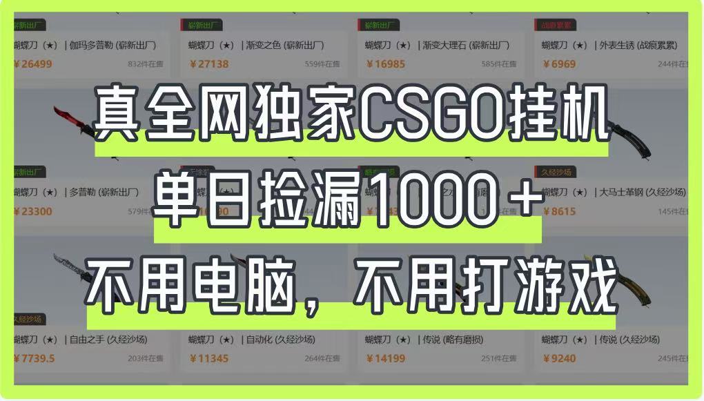 真全网独家CSGO挂机，单日捡漏1000+，不用电脑，不用养号 - 网创智库网创-网赚-电商-tk-出海-AI-抖音-快手-小红书-视频号-玩法-创业-小程序-公众号-私域-s粉网创智库