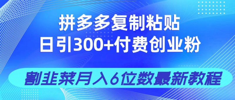 拼多多复制粘贴日引300+付费创业粉，割韭菜月入6位数最新教程！网创-网赚-电商-tk-出海-AI-抖音-快手-小红书-视频号-玩法-创业-小程序-公众号-私域-s粉网创智库