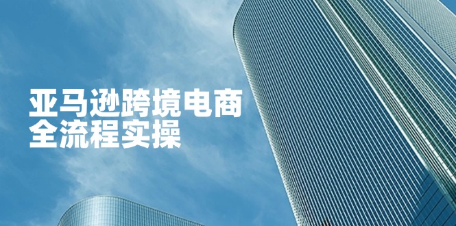 亚马逊跨境电商全流程实操，教你从零开始，掌握店铺运营与广告技巧网创-网赚-电商-tk-出海-AI-抖音-快手-小红书-视频号-玩法-创业-小程序-公众号-私域-s粉网创智库