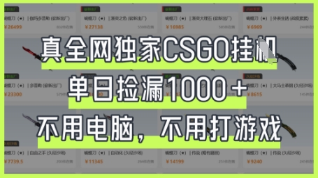 真全网独家CSGO挂G，单日捡漏1k+【揭秘】网创-网赚-电商-tk-出海-AI-抖音-快手-小红书-视频号-玩法-创业-小程序-公众号-私域-s粉网创智库