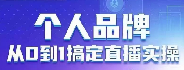 个人品牌：从0到1搞定直播实操，用直播为你的个人品牌赋能，六大实操板块，放大个人影响力网创-网赚-电商-tk-出海-AI-抖音-快手-小红书-视频号-玩法-创业-小程序-公众号-私域-s粉网创智库