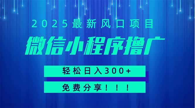 微信小程序撸广，最新风口项目，日入300+ 免费分享 可批量操作 小白可…网创-网赚-电商-tk-出海-AI-抖音-快手-小红书-视频号-玩法-创业-小程序-公众号-私域-s粉网创智库