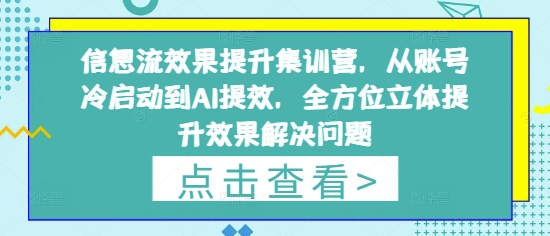 信息流效果提升集训营，从账号冷启动到AI提效，全方位立体提升效果解决问题网创-网赚-电商-tk-出海-AI-抖音-快手-小红书-视频号-玩法-创业-小程序-公众号-私域-s粉网创智库
