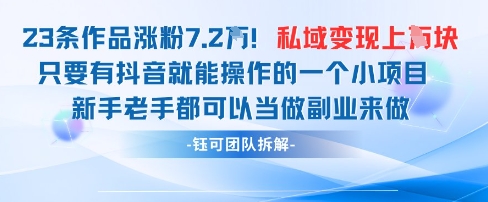 抖音私域项目23条作品涨粉7.2W，私域变现1W网创-网赚-电商-tk-出海-AI-抖音-快手-小红书-视频号-玩法-创业-小程序-公众号-私域-s粉网创智库