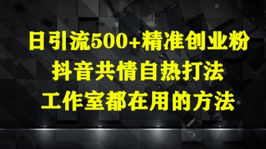 日引流500+精准创业粉，抖音共情自热打法，工作室都在用的方法网创-网赚-电商-tk-出海-AI-抖音-快手-小红书-视频号-玩法-创业-小程序-公众号-私域-s粉网创智库