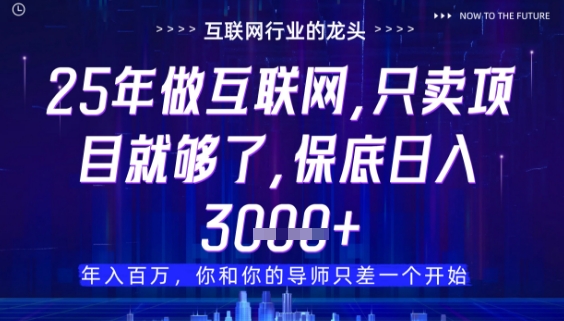 什么！25年你还在找项目做？风口早就变了，卖项目才是稳挣不赔【揭秘】网创-网赚-电商-tk-出海-AI-抖音-快手-小红书-视频号-玩法-创业-小程序-公众号-私域-s粉网创智库