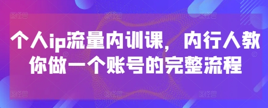个人ip流量内训课，内行人教你做一个账号的完整流程网创-网赚-电商-tk-出海-AI-抖音-快手-小红书-视频号-玩法-创业-小程序-公众号-私域-s粉网创智库