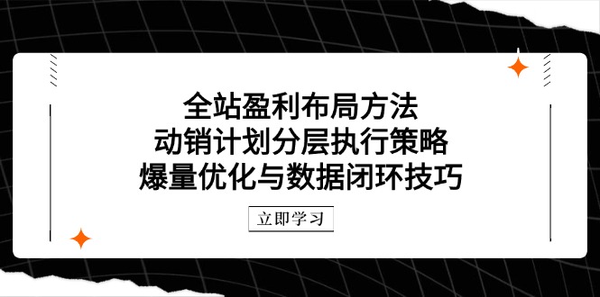 全站盈利布局方法：动销计划分层执行策略，爆量优化与数据闭环技巧网创-网赚-电商-tk-出海-AI-抖音-快手-小红书-视频号-玩法-创业-小程序-公众号-私域-s粉网创智库