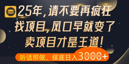 什么？25年你还在疯狂找项目做，醒醒吧，看完这些你全都懂了【揭秘】网创-网赚-电商-tk-出海-AI-抖音-快手-小红书-视频号-玩法-创业-小程序-公众号-私域-s粉网创智库