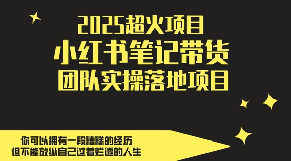 2025超火项目,副业最佳选择,小红书笔记带货团队实操落地项目,,轻松日入5张网创-网赚-电商-tk-出海-AI-抖音-快手-小红书-视频号-玩法-创业-小程序-公众号-私域-s粉网创智库
