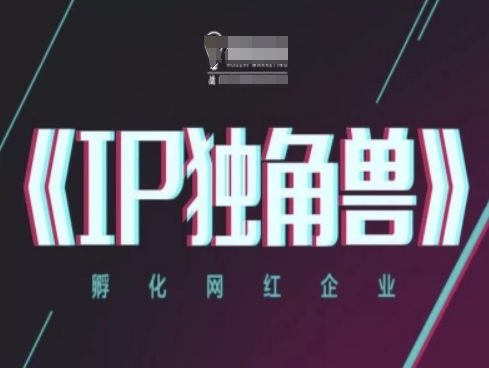 IP独角兽，孵化网红企业，ip教程网创-网赚-电商-tk-出海-AI-抖音-快手-小红书-视频号-玩法-创业-小程序-公众号-私域-s粉网创智库