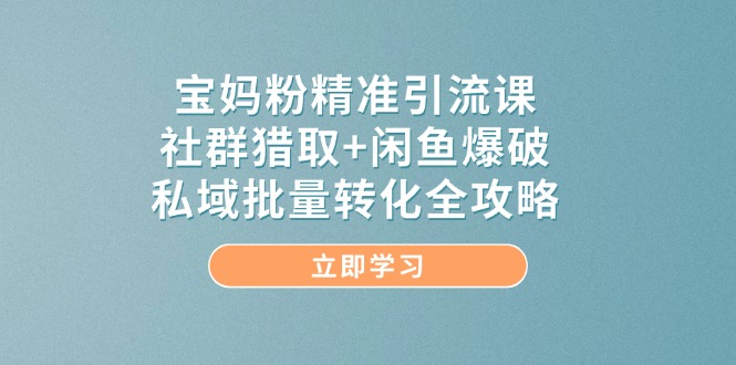 宝妈粉精准引流课，社群猎取+闲鱼爆破，私域批量转化全攻略网创-网赚-电商-tk-出海-AI-抖音-快手-小红书-视频号-玩法-创业-小程序-公众号-私域-s粉网创智库